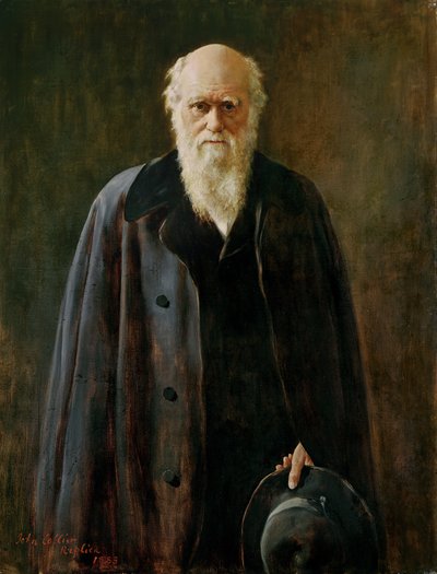 Portrait of Charles Darwin by John Collier